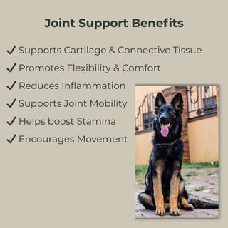 Joint Support – For Mobility & Pain Relief