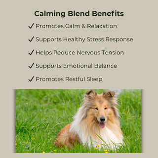 Calming Blend - For Anxiety & Stress Relief