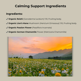 Calming Blend - For Anxiety & Stress Relief