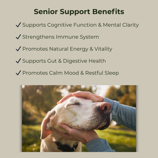 Senior Support – Daily Wellness for Aging Dogs
